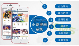 小说漫画分销,小说漫画分销的传奇之旅